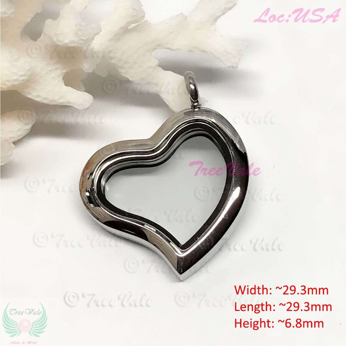 Floating Locket Heart Lo - Stainless Steel