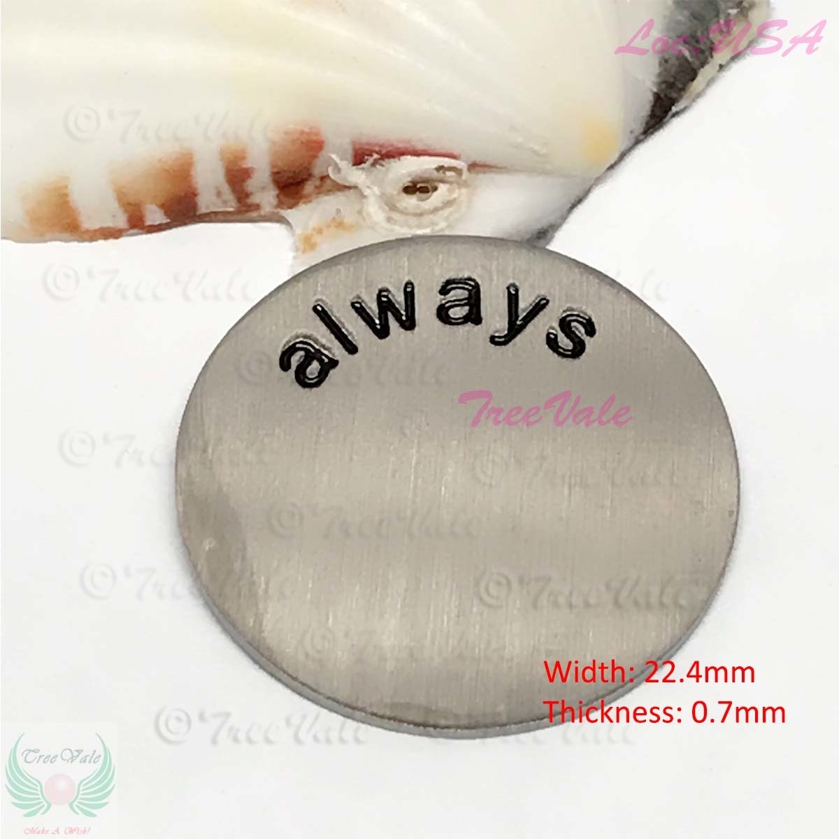 Disc Plate for Memory Lockets Stainless Steel, Inscription: always