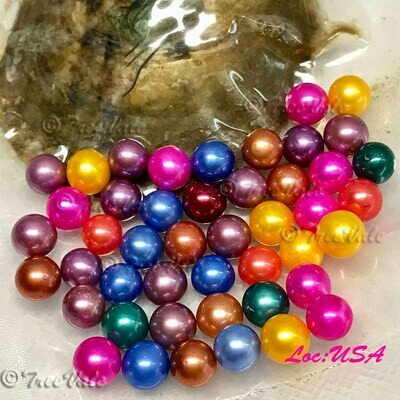 Multiple Pearls In Oysters