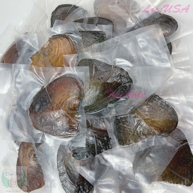 Freshwater Oyster Each With 8mm to 10mm+ Unicorn Pearl