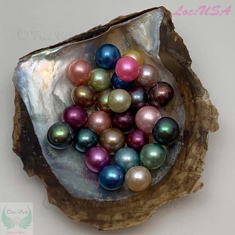 Akoya Oyster each with 6-8mm Round Pearl - Individually Wrapped