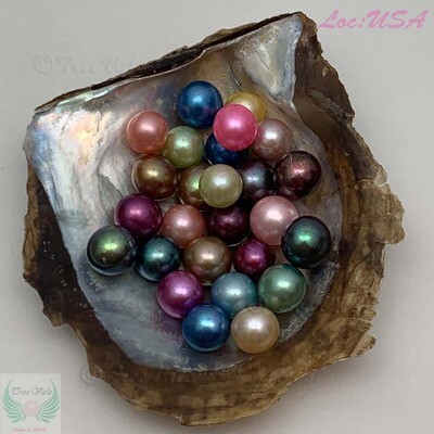 Akoya Oysters with 6-8mm Round Pearls