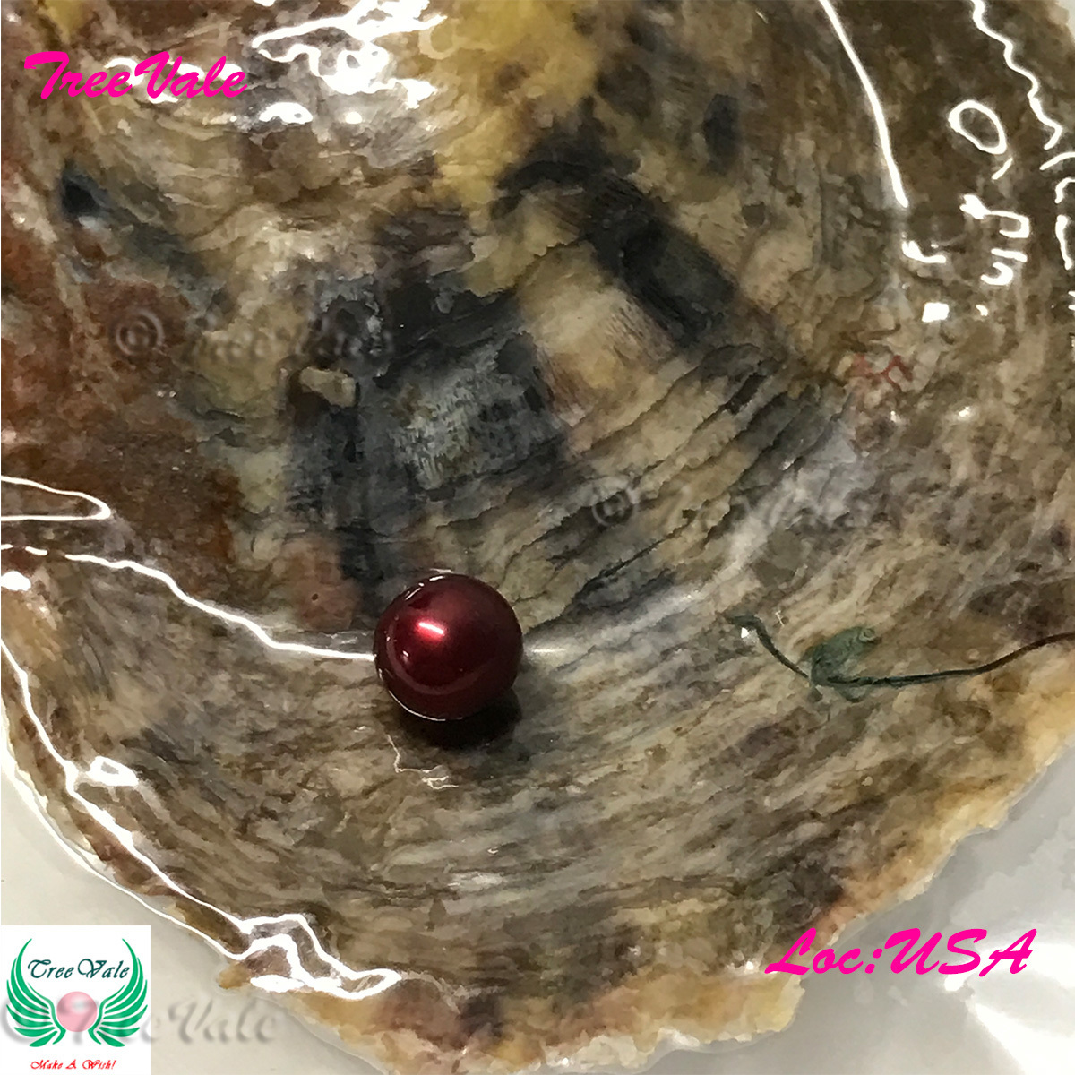 Red Pearl Large [7-9mm] in Akoya Oyster - Wrapped Individually