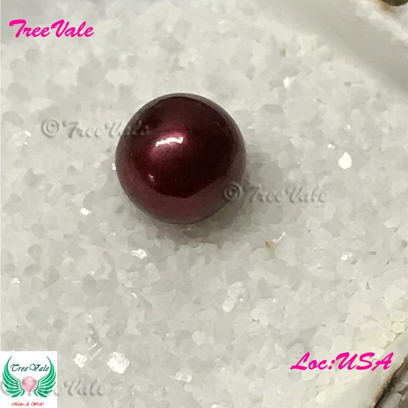 Red Pearl Large [7-9mm] in Akoya Oyster - Wrapped Individually