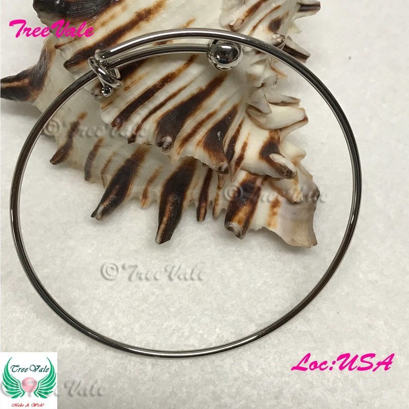Adjustable Charm Bracelet - Silver Plated