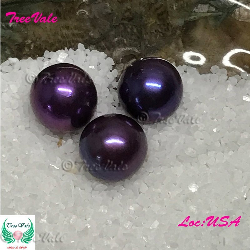 One Individually Wrapped Oyster Each With - Dark Lavender LARGE Pearl