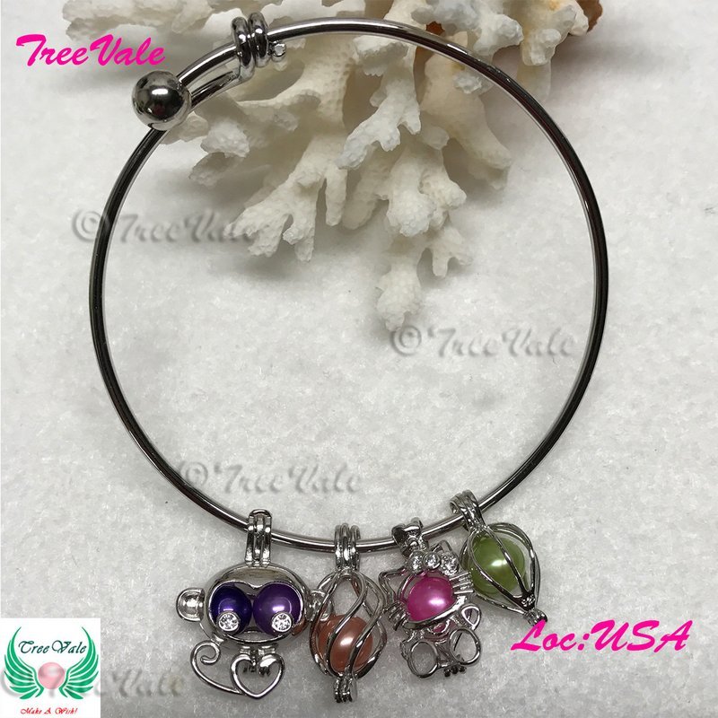 Adjustable Charm Bracelet - 925 Sterling Silver