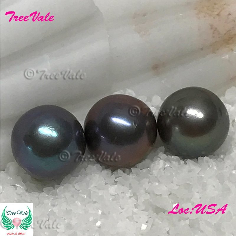 One Individually Wrapped Oyster Each With - Gold Fusion LARGE Pearl