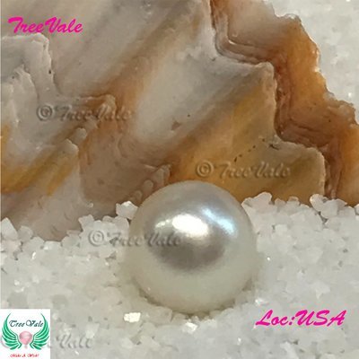 Loose SMALL Pearl [6-7mm]- Snow White