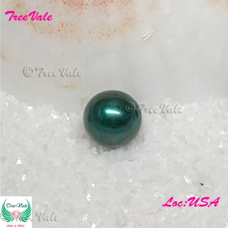 One Individually Wrapped Oyster Each With - Green LARGE Pearl