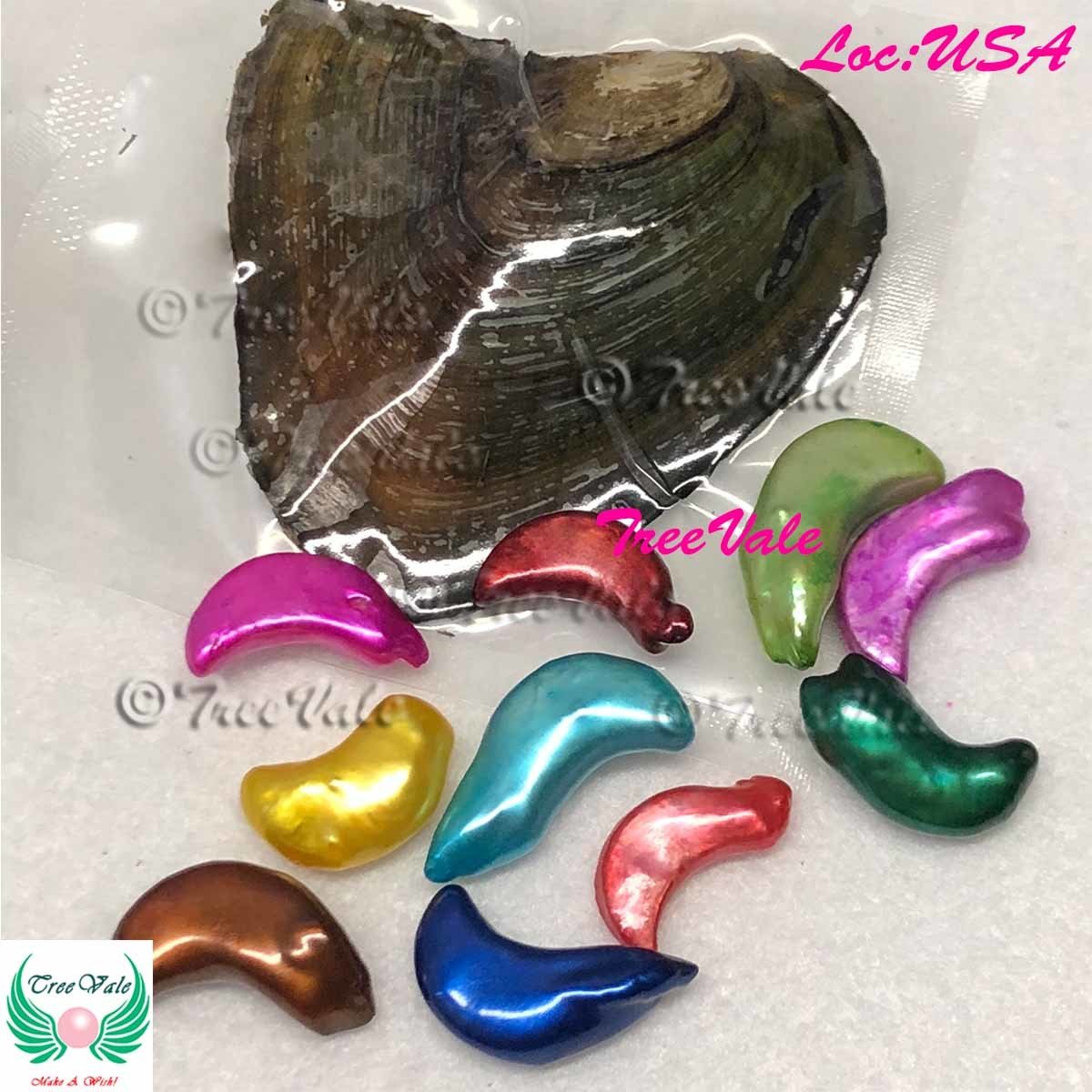 One Freshwater Oyster Each with 1 Moon Pearl - Individually Wrapped, Color: 1 Random