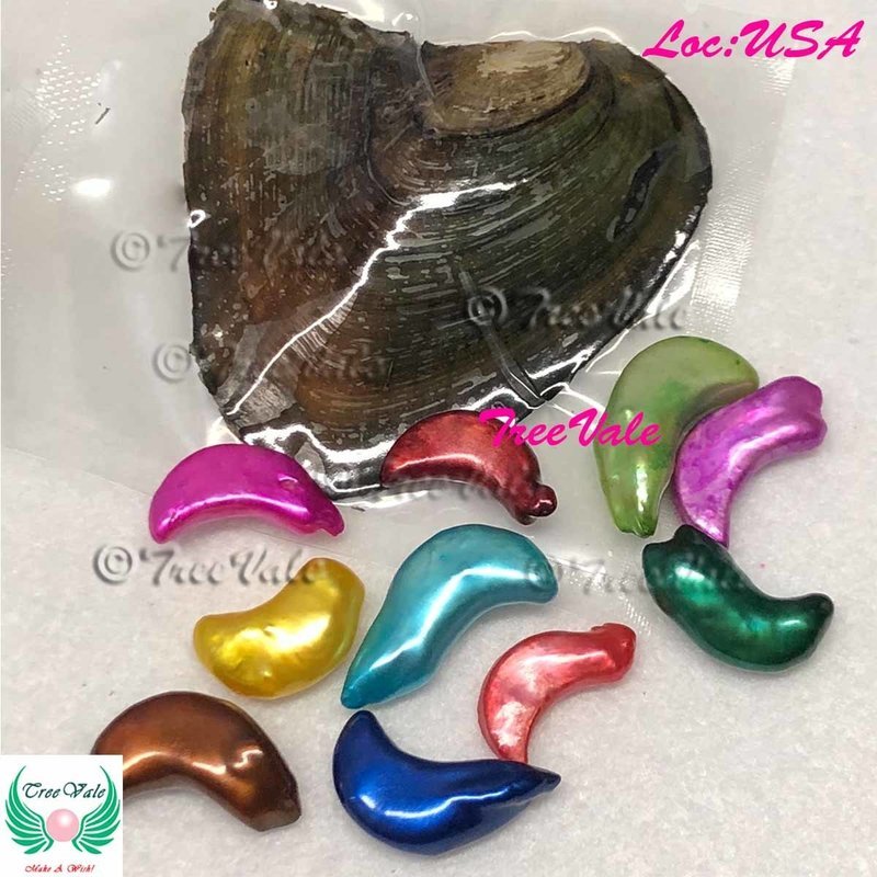One Freshwater Oyster Each with 1 Moon Pearl - Individually Wrapped