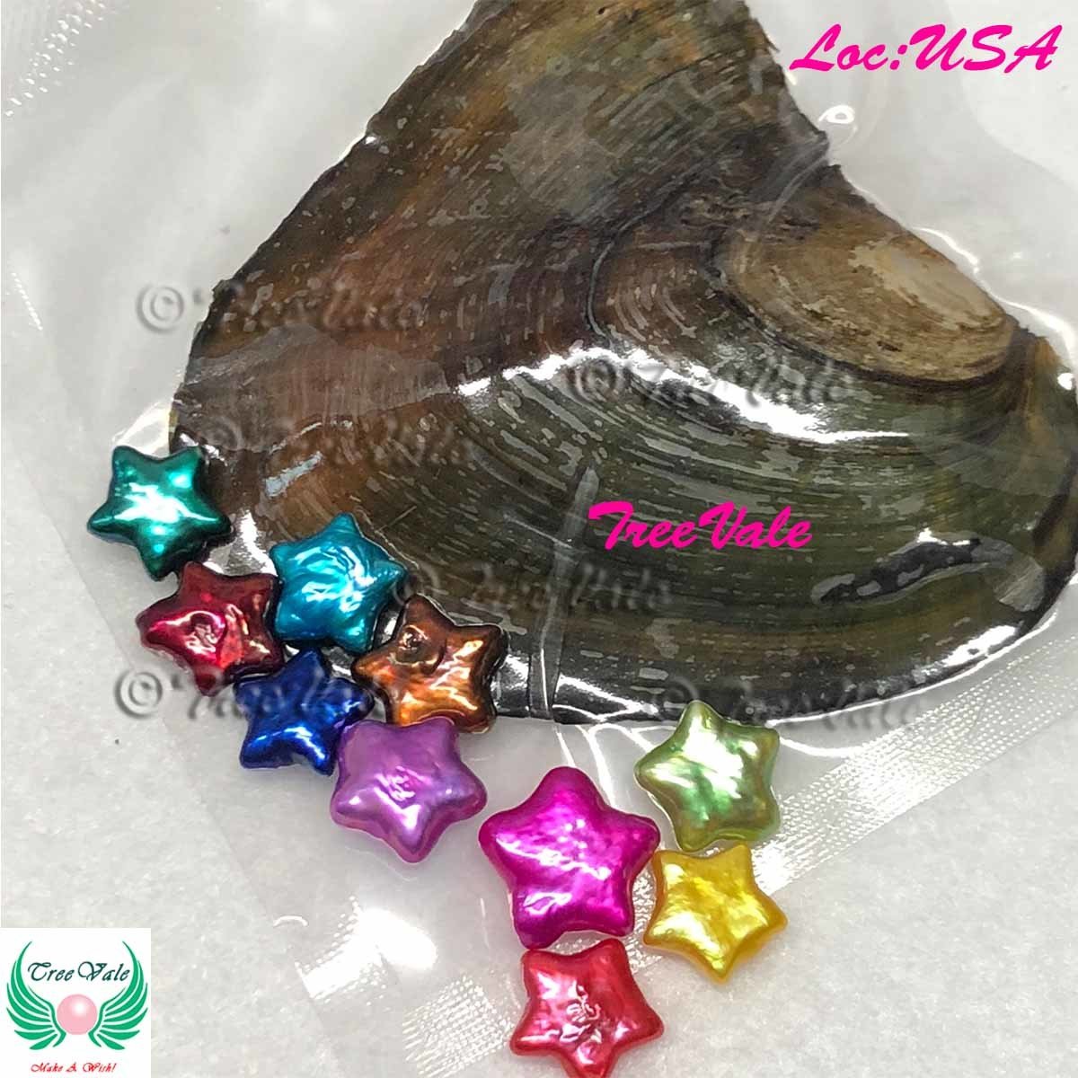 One Freshwater Oyster Each with 1 Star Pearl - Individually Wrapped, Color: 1 Random