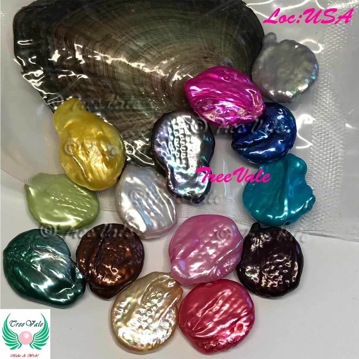 One Freshwater Oyster Each with 1 Flat Allure Pearl - Individually Wrapped