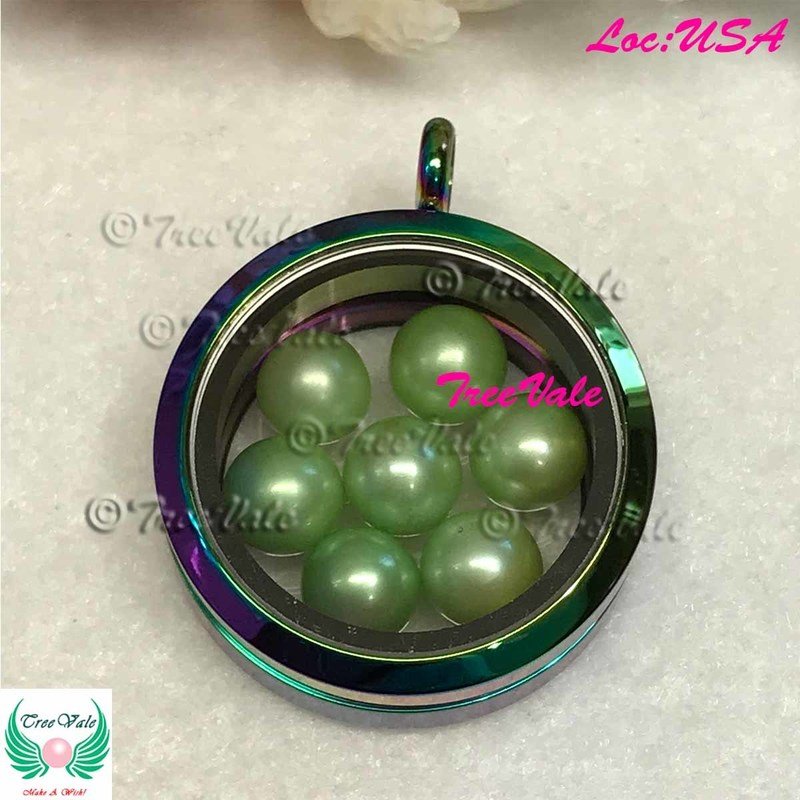 Floating Locket of Choice - Stainless Steel