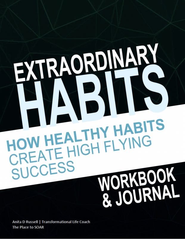 eWorkbook &amp; Journal: How Healthy Habits Create High Flying Success