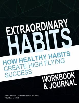 eWorkbook & Journal: How Healthy Habits Create High Flying Success