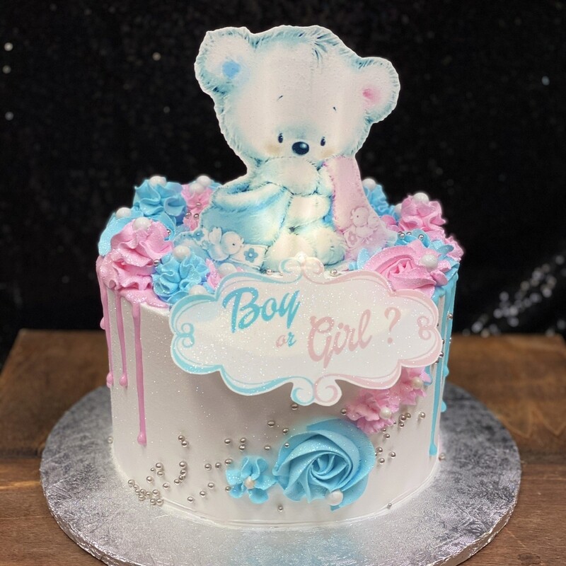 Baby White Bear