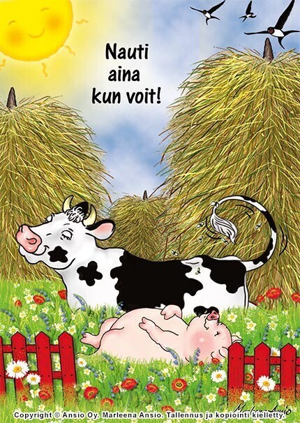 Suomalainen kortti baby shower lahjaan