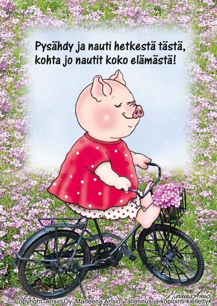 Suomalainen kortti baby shower lahjaan