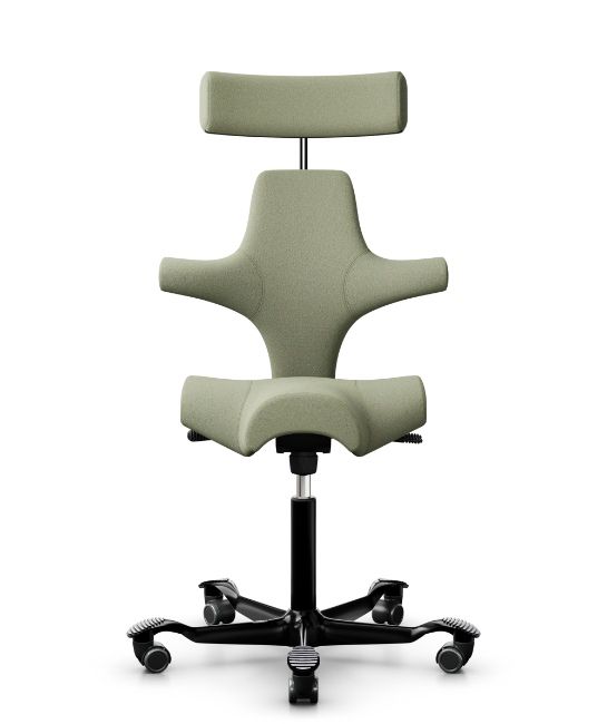 HAG Capisco 8107 HAG Capisco 8107