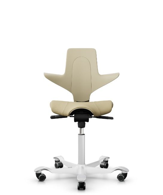 HAG Capisco Puls 8020