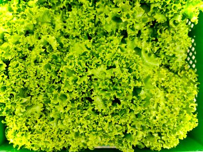 Grüne Salate