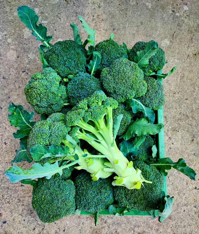 Brokkoli, 500g