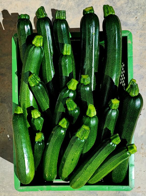Zucchini, 500g