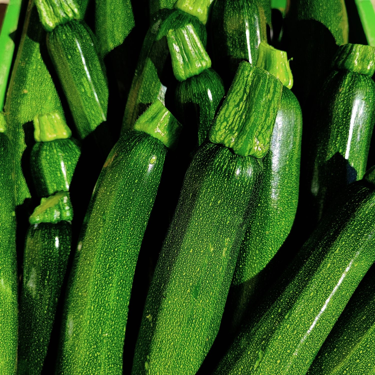 Zucchini, 500g