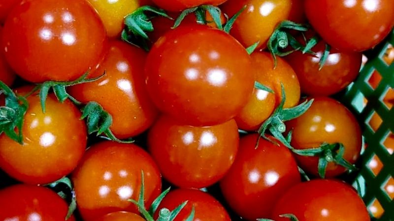 Cherry-Tomaten, 250g