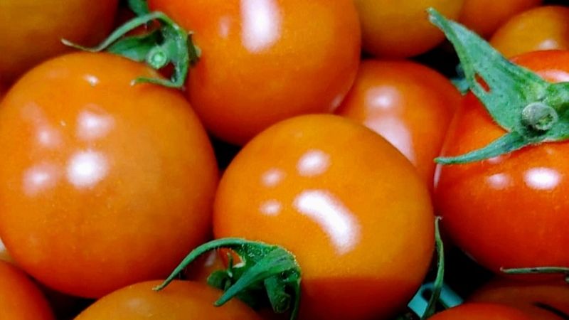 Tomaten, 500g