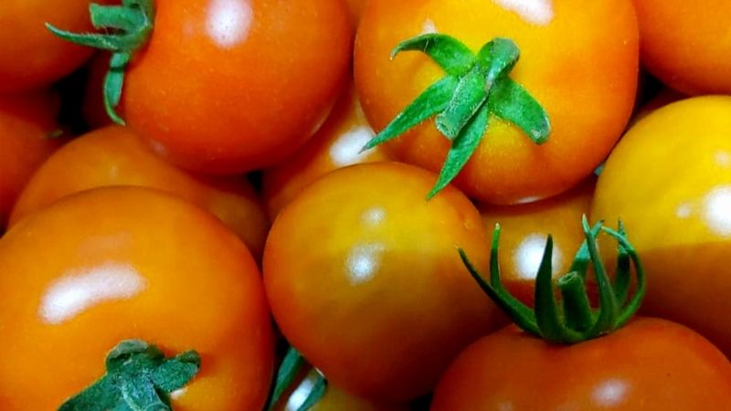 Aroma-Tomaten, 500g