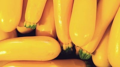 Zucchini gelb, 500g