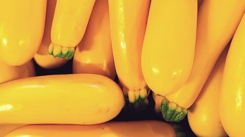 Zucchini gelb, 500g