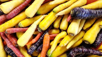 Bunte Möhren, 1kg Bunte Möhren, 1kg