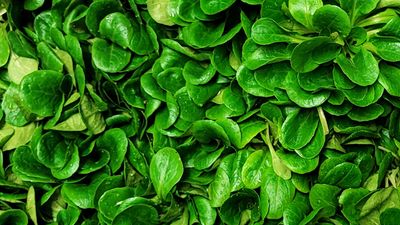 Feldsalat, 100g Feldsalat, 100g