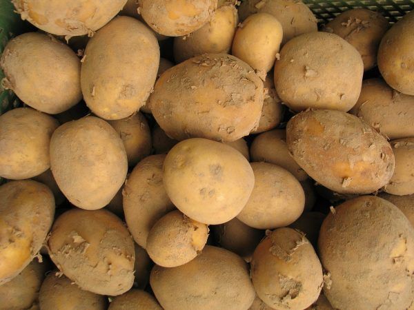 Speisekartoffeln, 1kg