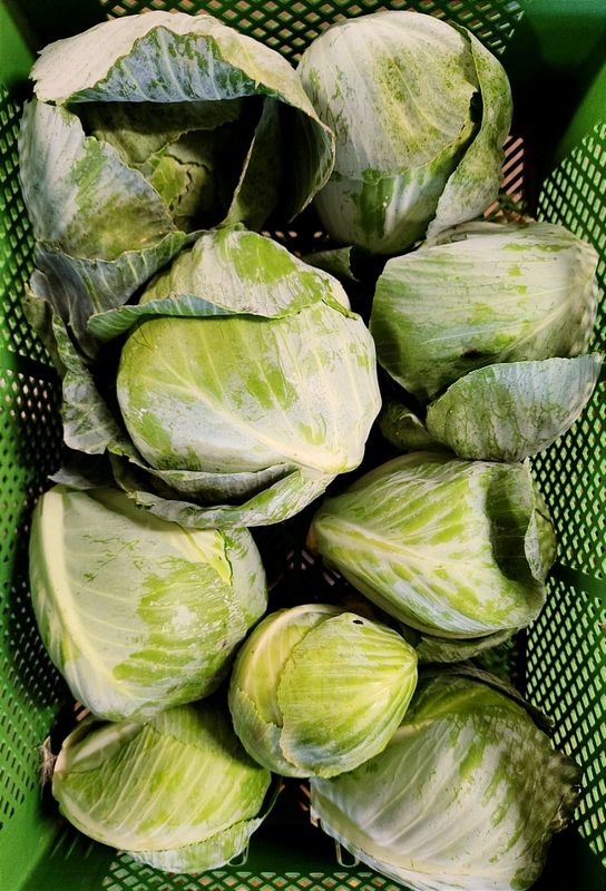 Weißkohl