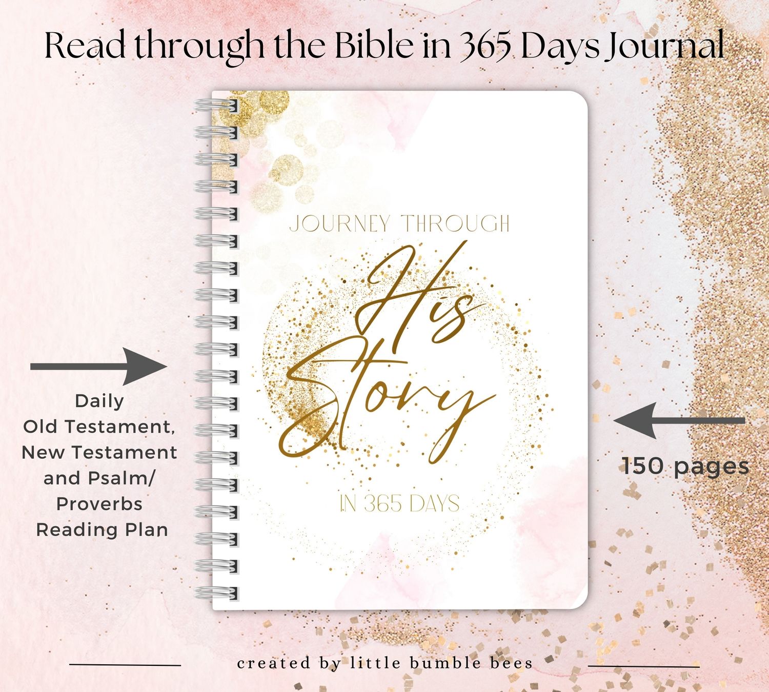 Journey Through His Story 365 Bible Reading Plan