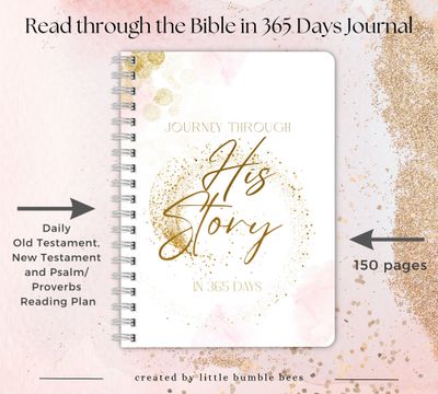 Journey Through His Story 365 Bible Reading Plan