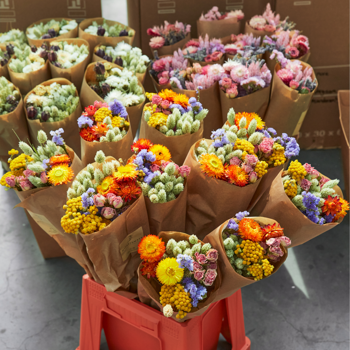 Dried Flowers - Market More - Orange