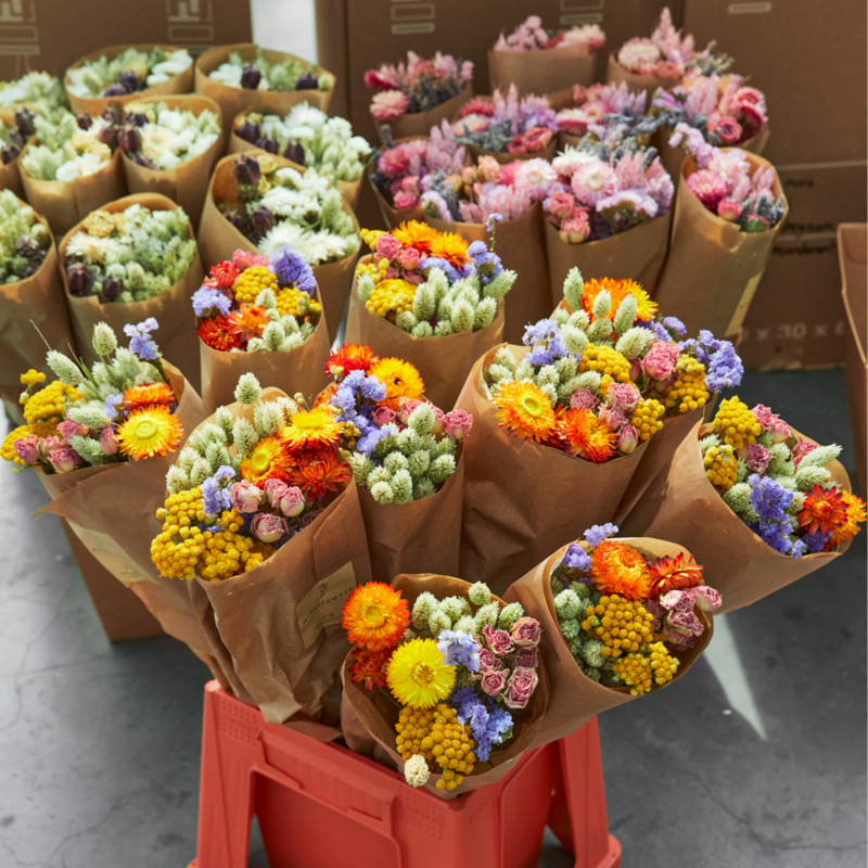Dried Flowers - Market More - Orange
