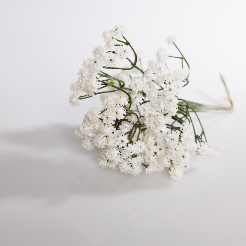 Gypsophila bundel crème