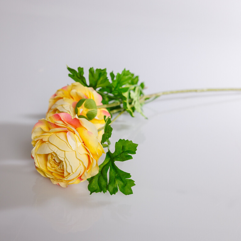 RANUNCULUS SPRAY 1PC YELLOW