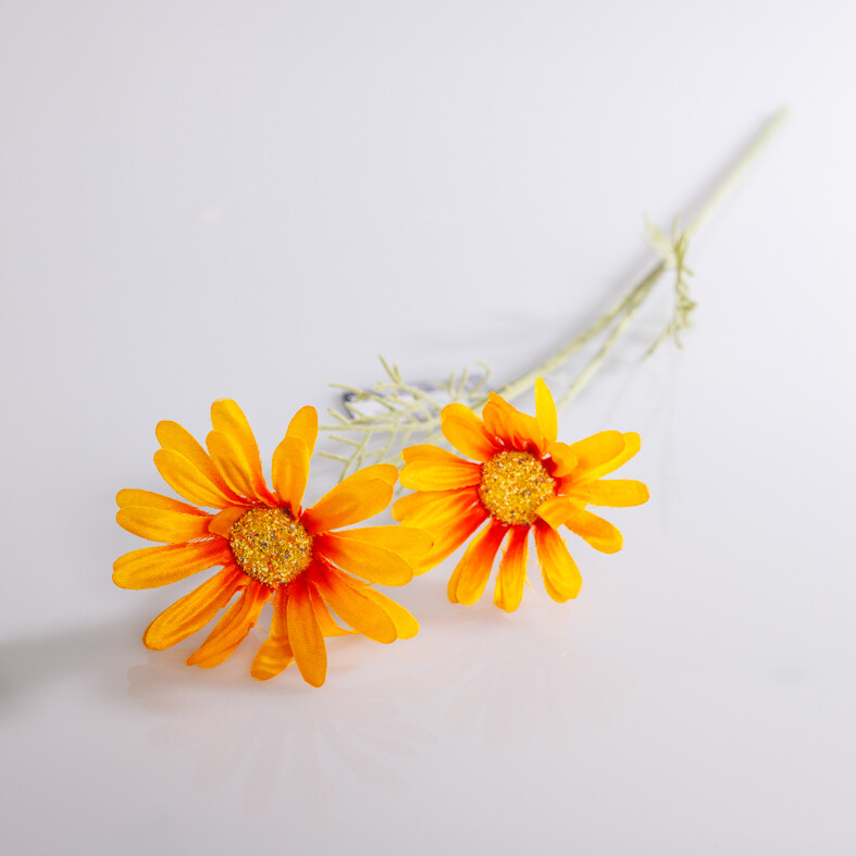 DAISY CORDOBA SPRAY 1PC ORANGE