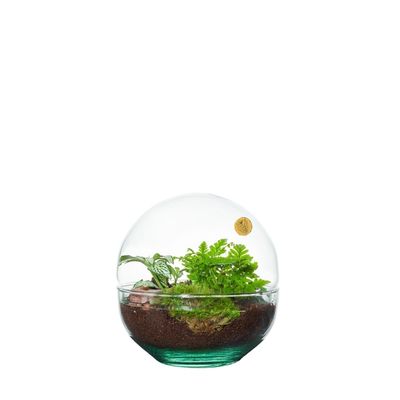 Decoratie bloem en plant