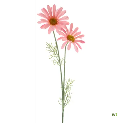 Valse bloemen en planten