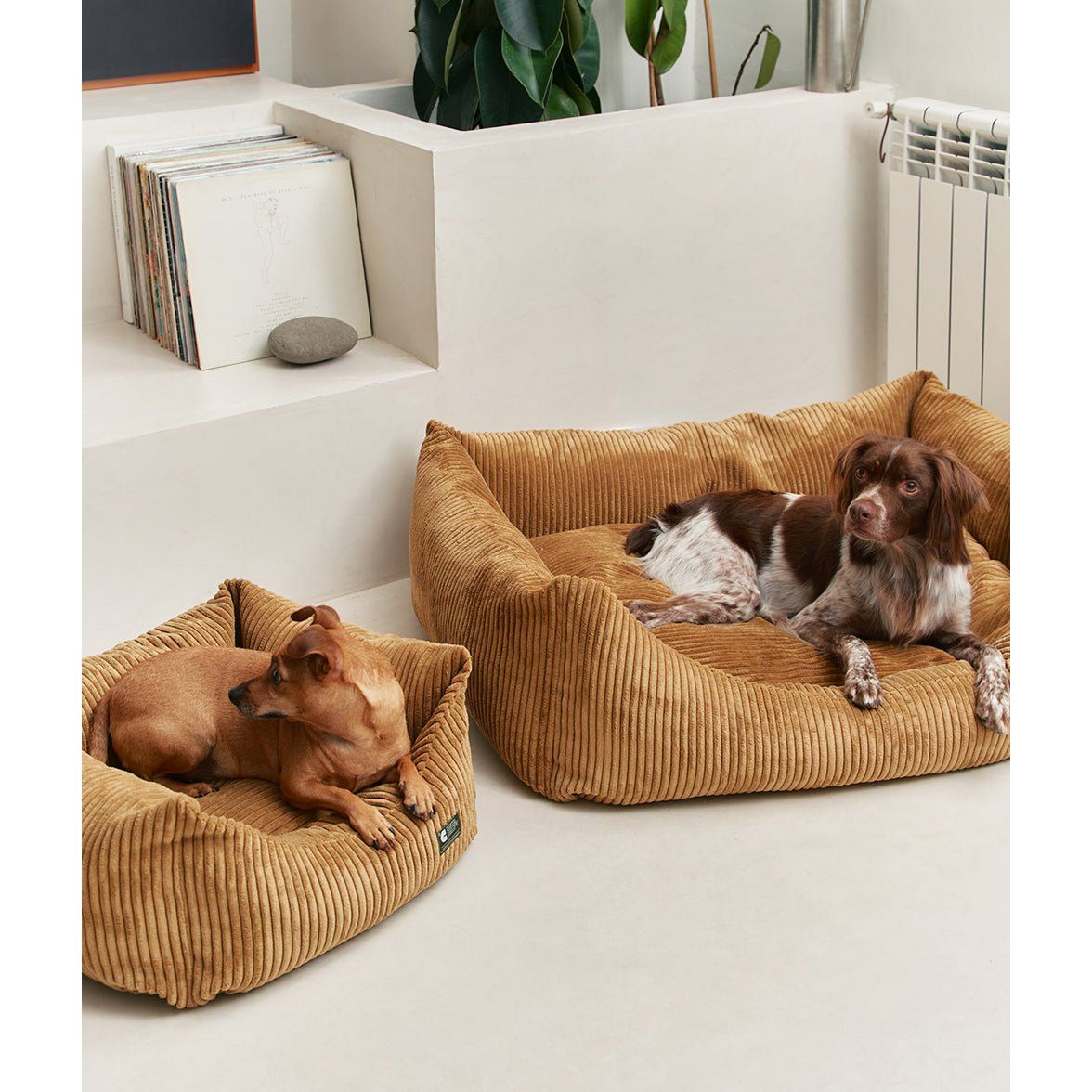 Mosterdkleurige corduroy hondenmand, Snozy Groot bed M (75x60x20cm)
