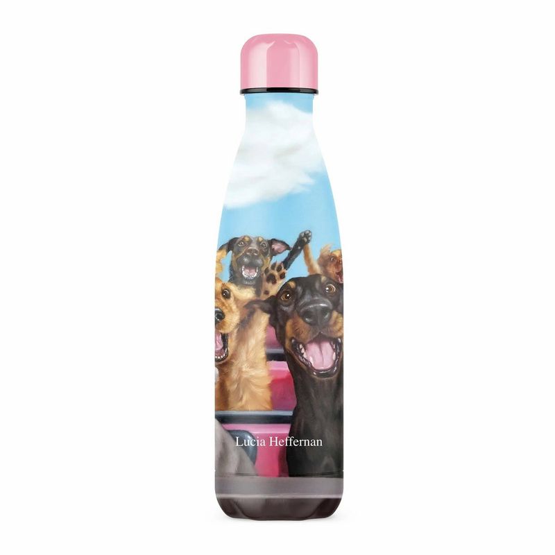 IZY Bottle, Lucia Heffernan, 500ML, giftbox - Thermosfles | Drinkfles | Waterfles | Schoolfles | Isoleerfles | Thermos | Fles | Thermo | Isoleer | Drink | Water